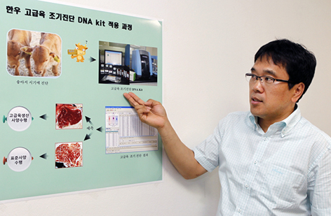 한우 고급육 조기진단 DNA Kit 개발